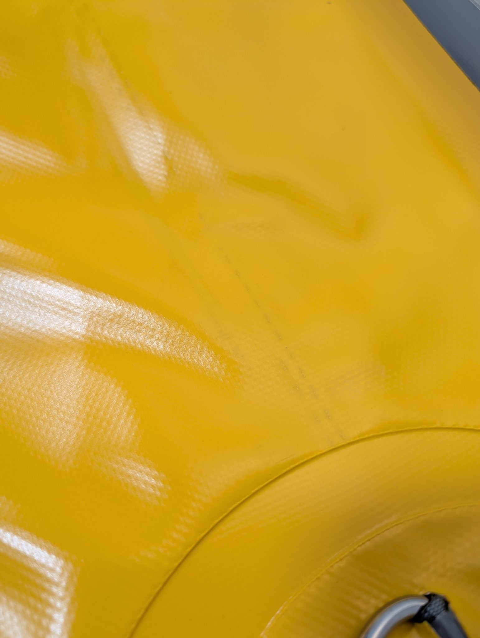 Factory Blemish Jaguarundi - Yellow